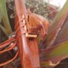 Mi (E) Sapele wood native american flute Eagle totem