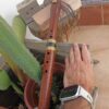 Fa (F) Sapele wood native american flute wolf totem