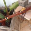 Fa (F) Sapele wood native american flute wolf totem