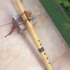 Fa (F) Ayon wood native american flute bear totem