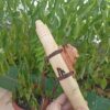 Sol (G) Ayon wood native american flute bear totem