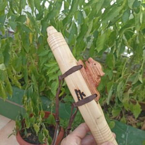 Sol (G) Ayon wood native american flute bear totem