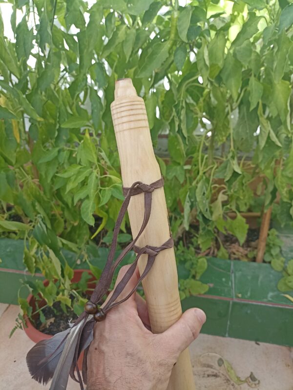 Sol (G) Ayon wood native american flute bear totem