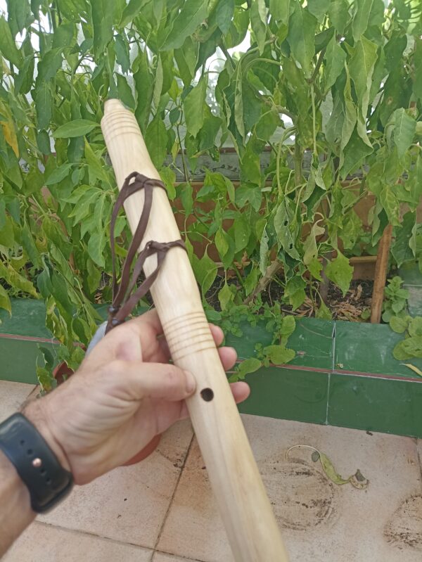 Sol (G) Ayon wood native american flute bear totem